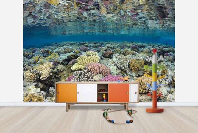 PHOTOWALL / Shallow Reef (e23673)