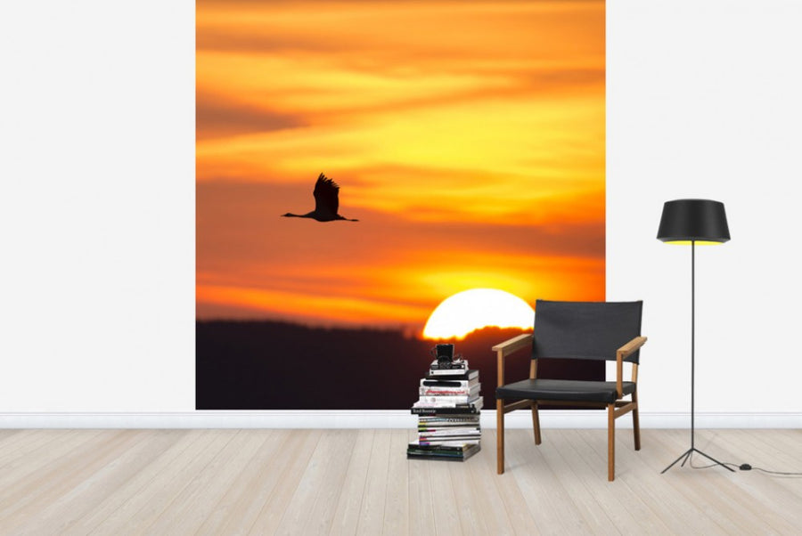 PHOTOWALL / Crane and a Beautiful Sunrise (e23688)