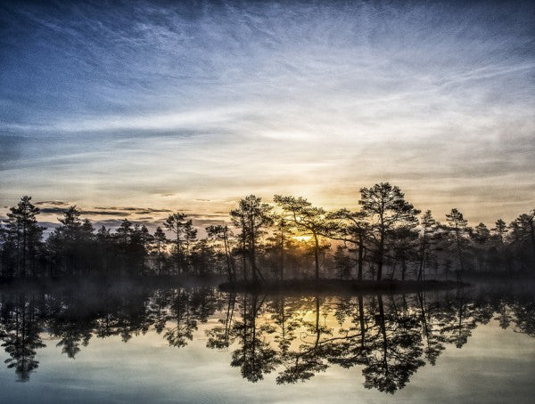 PHOTOWALL / Lake in Hallefors - Sweden (e23694)