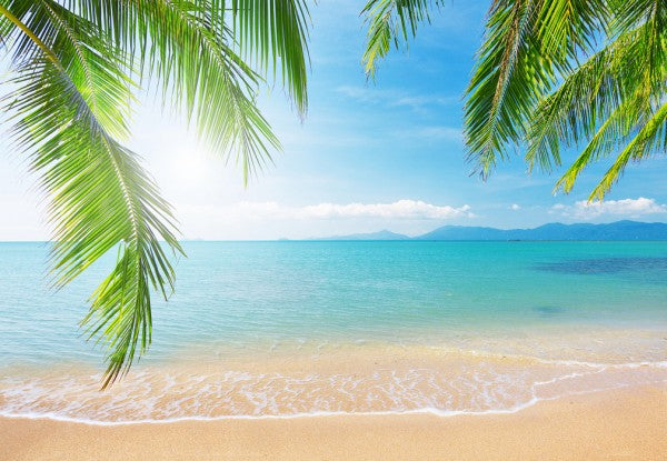 PHOTOWALL / Tropical View from under a Palm Tree (e40067)