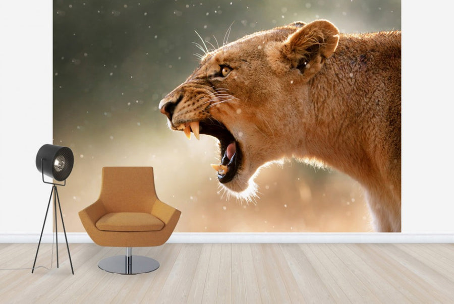 PHOTOWALL / The Lions Roar (e40072)