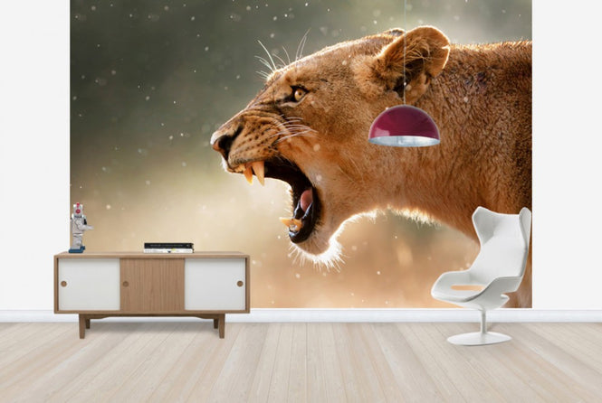 PHOTOWALL / The Lions Roar (e40072)