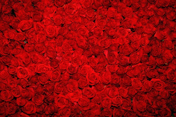 PHOTOWALL / That's amore (e40073)