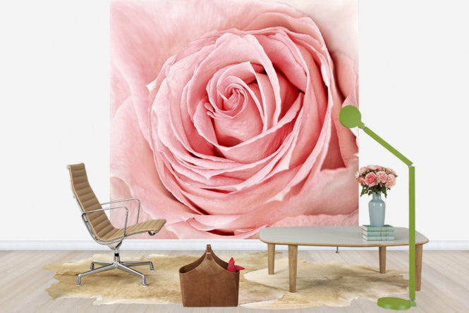 PHOTOWALL / Solitary (e40084)