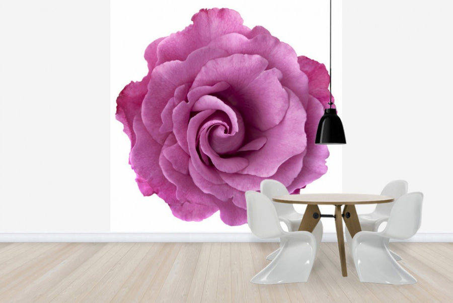 PHOTOWALL / Rose Swirl (e40092)