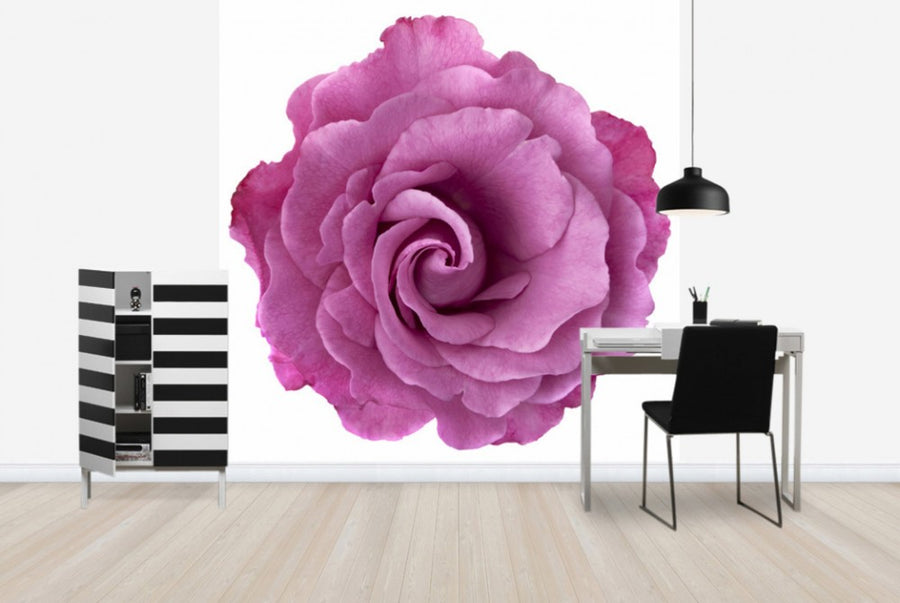 PHOTOWALL / Rose Swirl (e40092)