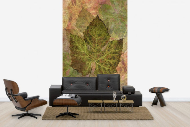 PHOTOWALL / Fallen Grape Leaf Pattern (e23722)