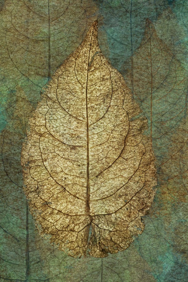PHOTOWALL / Golden Copper Leaf (e23723)