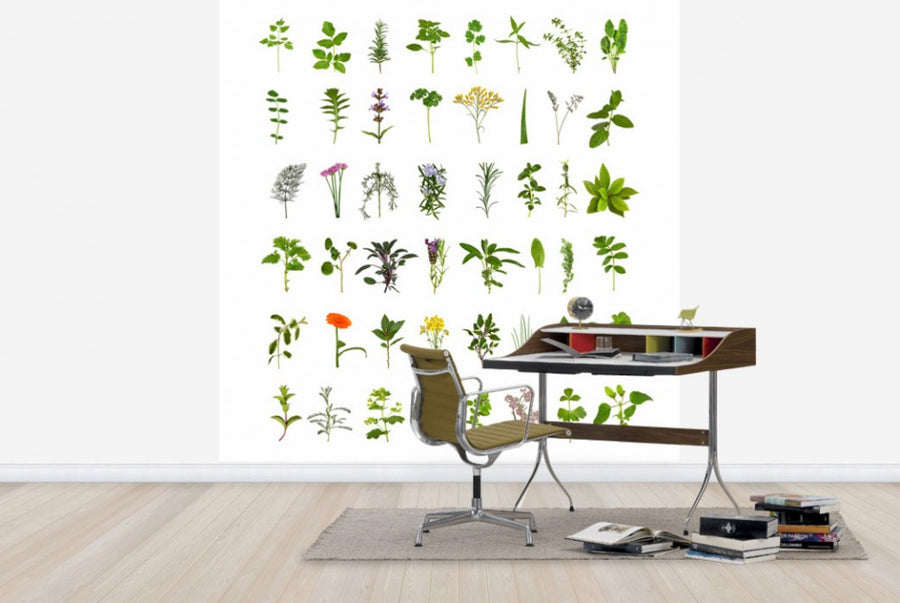 PHOTOWALL / Herb and Flower Collection (e40129)