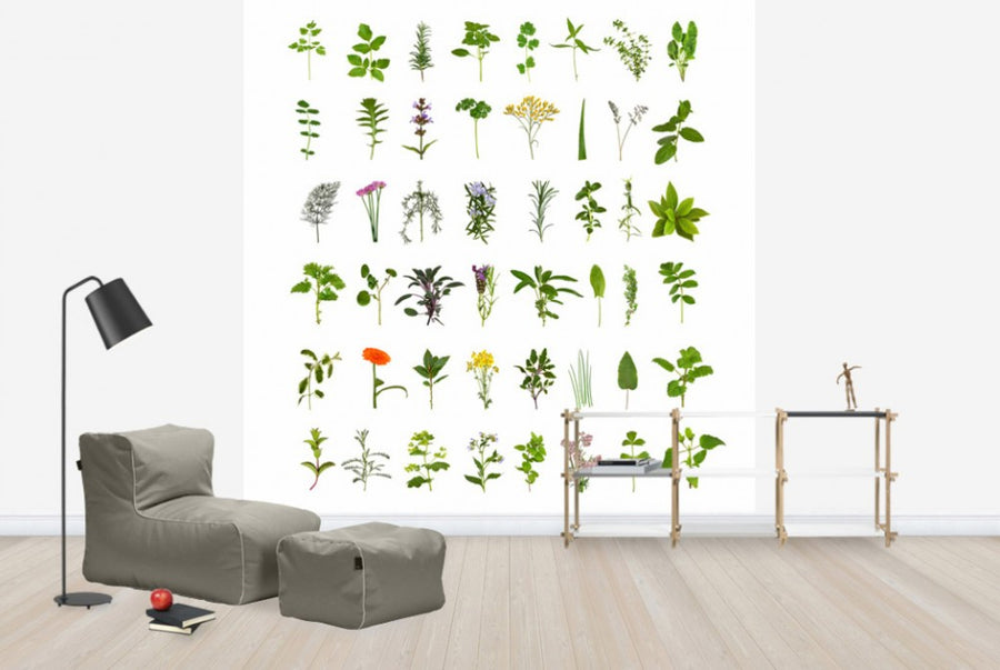 PHOTOWALL / Herb and Flower Collection (e40129)