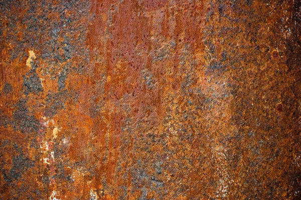 PHOTOWALL / It's Been a While (e40135)