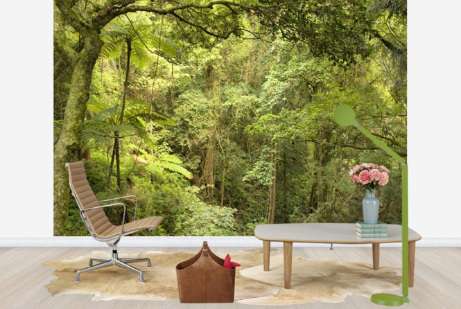 PHOTOWALL / Bunya Mountains National Park (e40185)