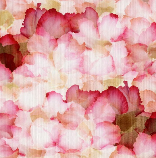 PHOTOWALL / Desert Rose Petals (e40192)