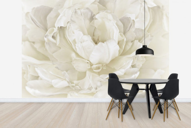 PHOTOWALL / Ivory White Double Tulip (e23729)