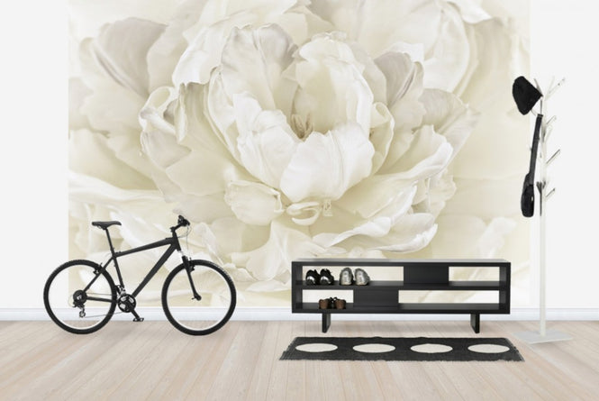 PHOTOWALL / Ivory White Double Tulip (e23729)