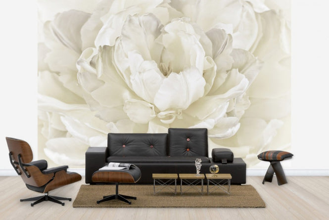 PHOTOWALL / Ivory White Double Tulip (e23729)
