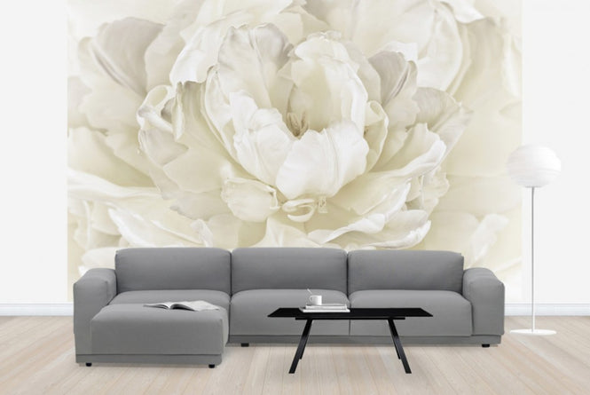 PHOTOWALL / Ivory White Double Tulip (e23729)