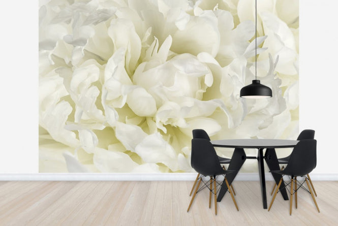 PHOTOWALL / Ivory White Peony (e23730)