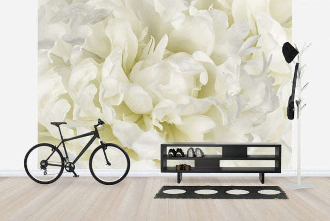 PHOTOWALL / Ivory White Peony (e23730)