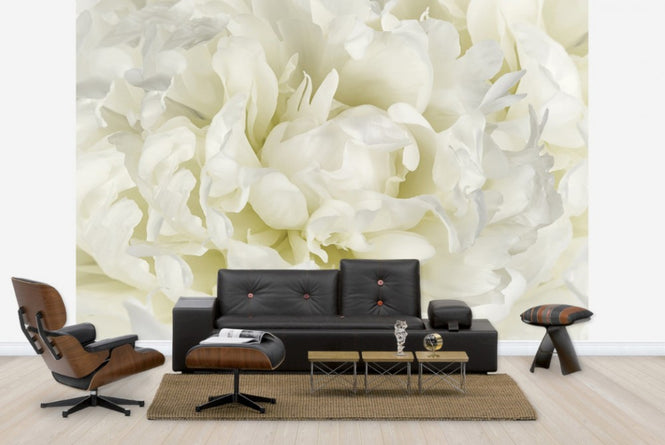PHOTOWALL / Ivory White Peony (e23730)