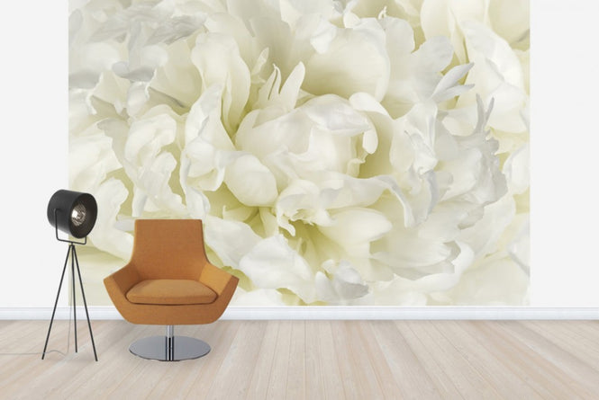 PHOTOWALL / Ivory White Peony (e23730)