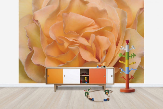 PHOTOWALL / Orange Rose (e23736)
