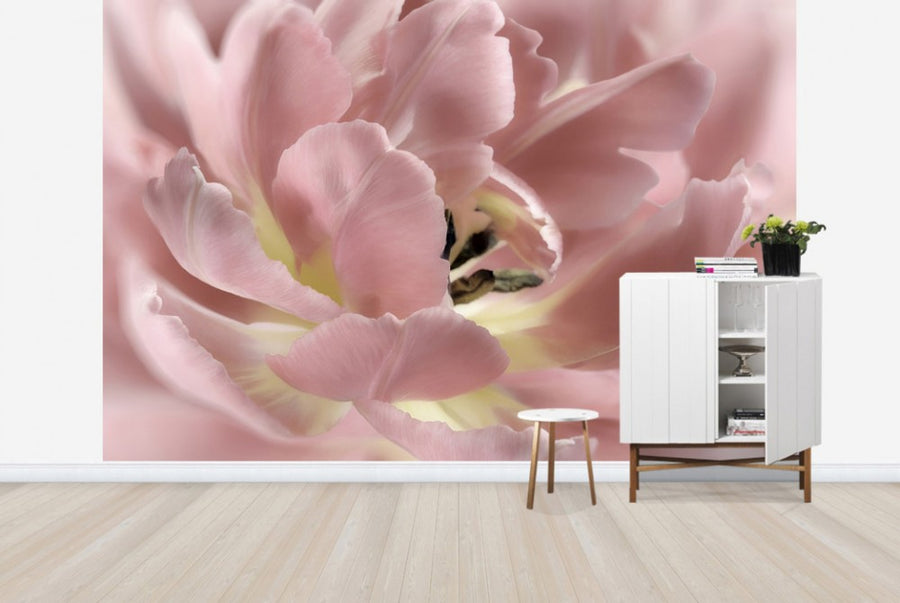 PHOTOWALL / Pastel Tulip (e23739)