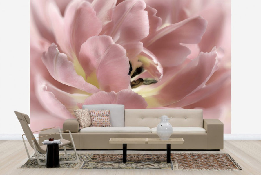 PHOTOWALL / Pastel Tulip (e23739)