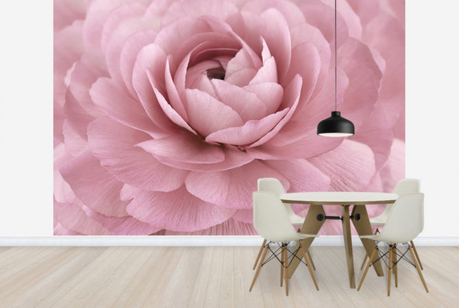 PHOTOWALL / Pink Buttercup (e23740)