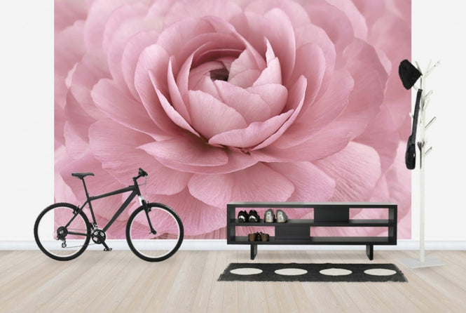 PHOTOWALL / Pink Buttercup (e23740)