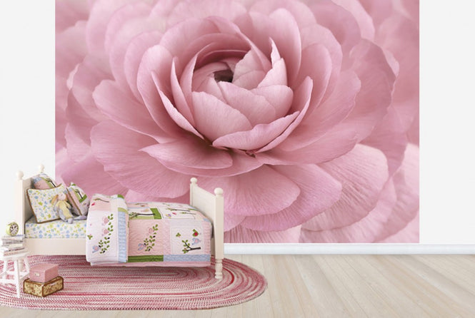 PHOTOWALL / Pink Buttercup (e23740)