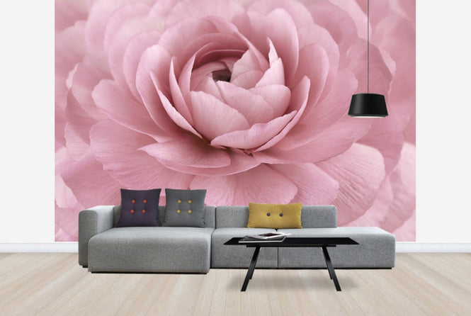 PHOTOWALL / Pink Buttercup (e23740)