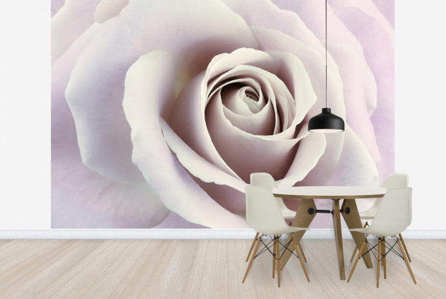 PHOTOWALL / Soft Rose in Cool Shades (e23747)