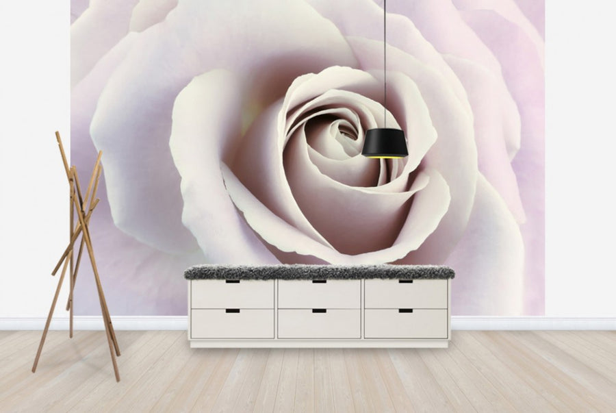 PHOTOWALL / Soft Rose in Cool Shades (e23747)