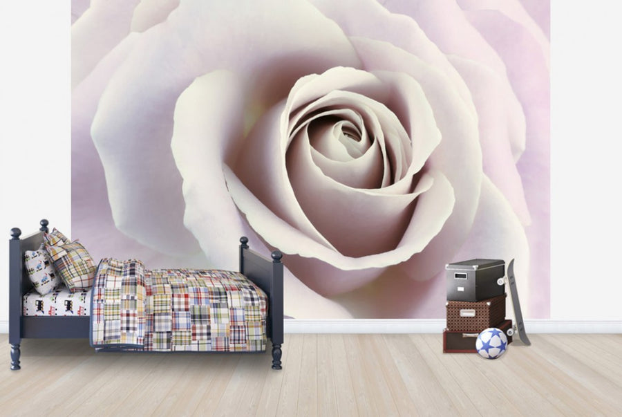 PHOTOWALL / Soft Rose in Cool Shades (e23747)