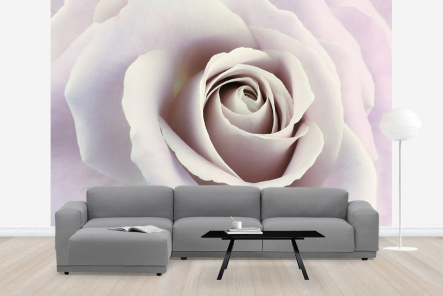 PHOTOWALL / Soft Rose in Cool Shades (e23747)