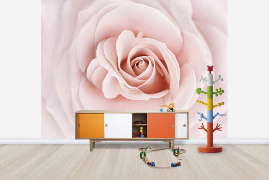 PHOTOWALL / Soft Rose in Peach Pink Shades (e23748)