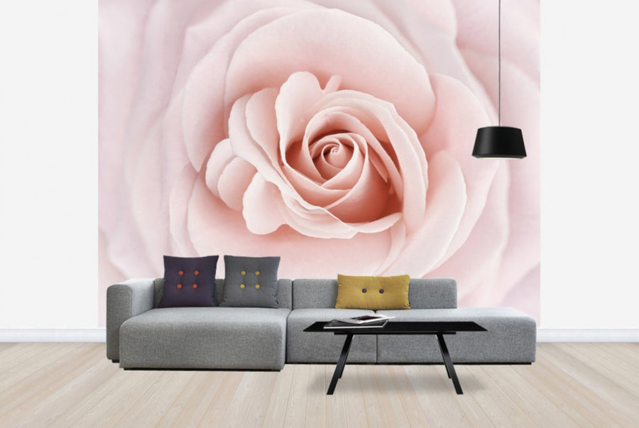 PHOTOWALL / Soft Rose in Peach Pink Shades (e23748)