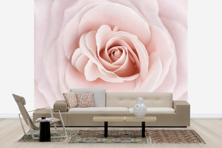 PHOTOWALL / Soft Rose in Peach Pink Shades (e23748)