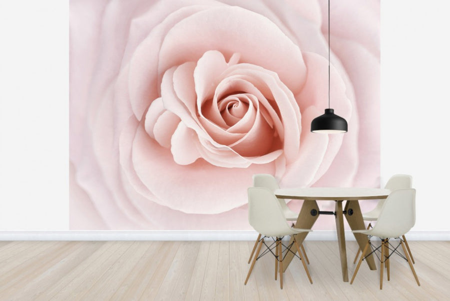 PHOTOWALL / Soft Rose in Peach Pink Shades (e23748)