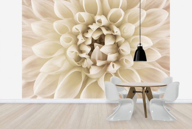 PHOTOWALL / White Dahlia (e23754)