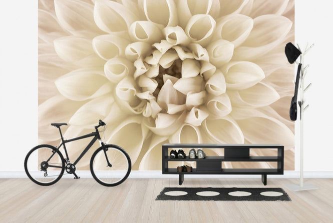 PHOTOWALL / White Dahlia (e23754)