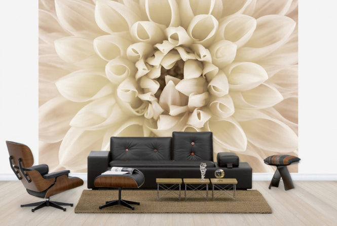 PHOTOWALL / White Dahlia (e23754)