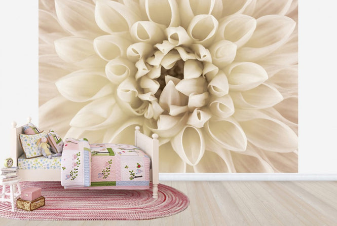 PHOTOWALL / White Dahlia (e23754)