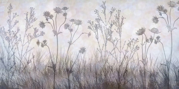 PHOTOWALL / Wildflowers Lining the Trail -  Silver Lavender (e23755)