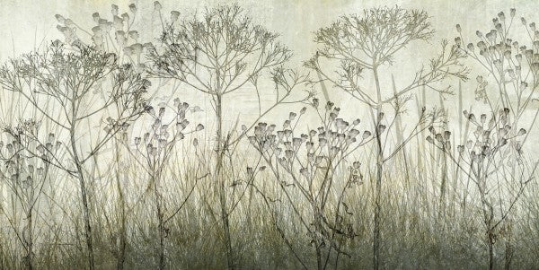 PHOTOWALL / Wildflowers Lining the Trail - Kaki (e23758)