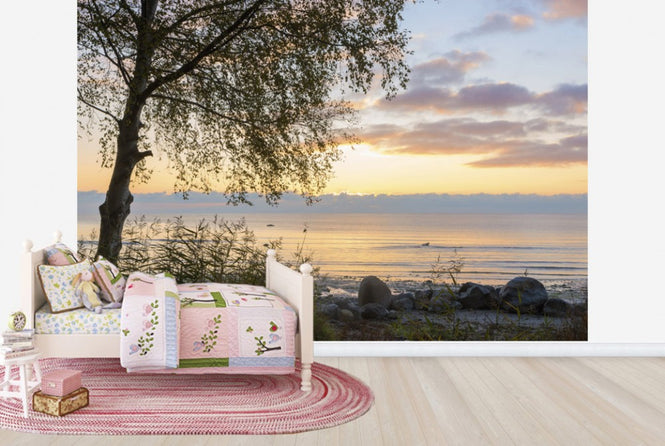 PHOTOWALL / Tree at Sunset - Gotland (e23787)