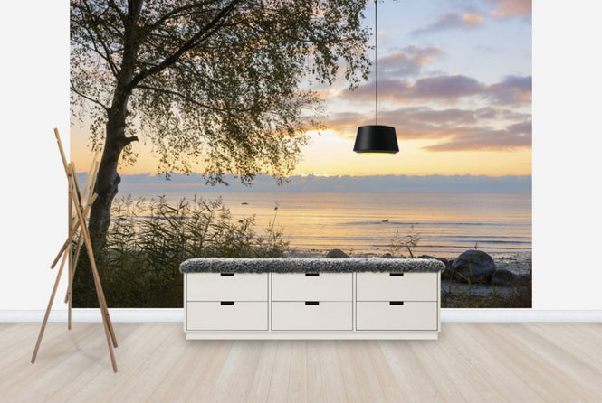 PHOTOWALL / Tree at Sunset - Gotland (e23787)