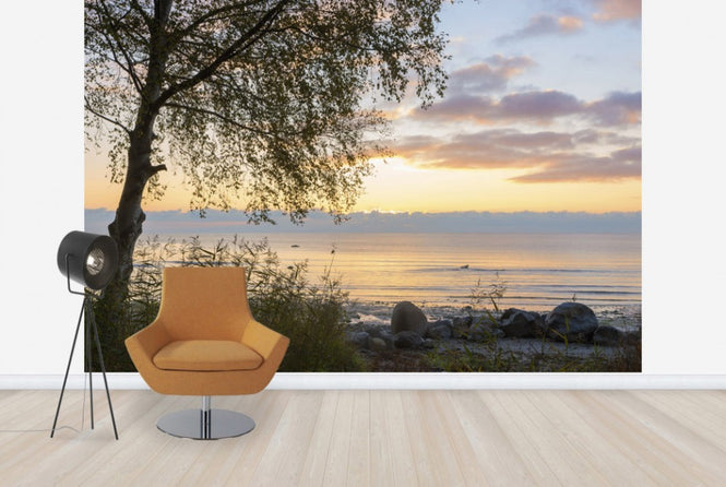 PHOTOWALL / Tree at Sunset - Gotland (e23787)