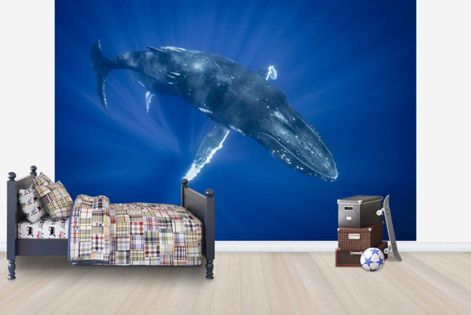 PHOTOWALL / Majestic Humpback Whale (e23791)